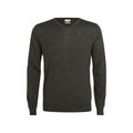 Merino Wool V-Neck (3098)