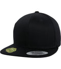 Organic Cotton Snapback (FF6089OC)
