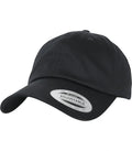 Low Profile Organic Cotton Cap (FF6245OC)