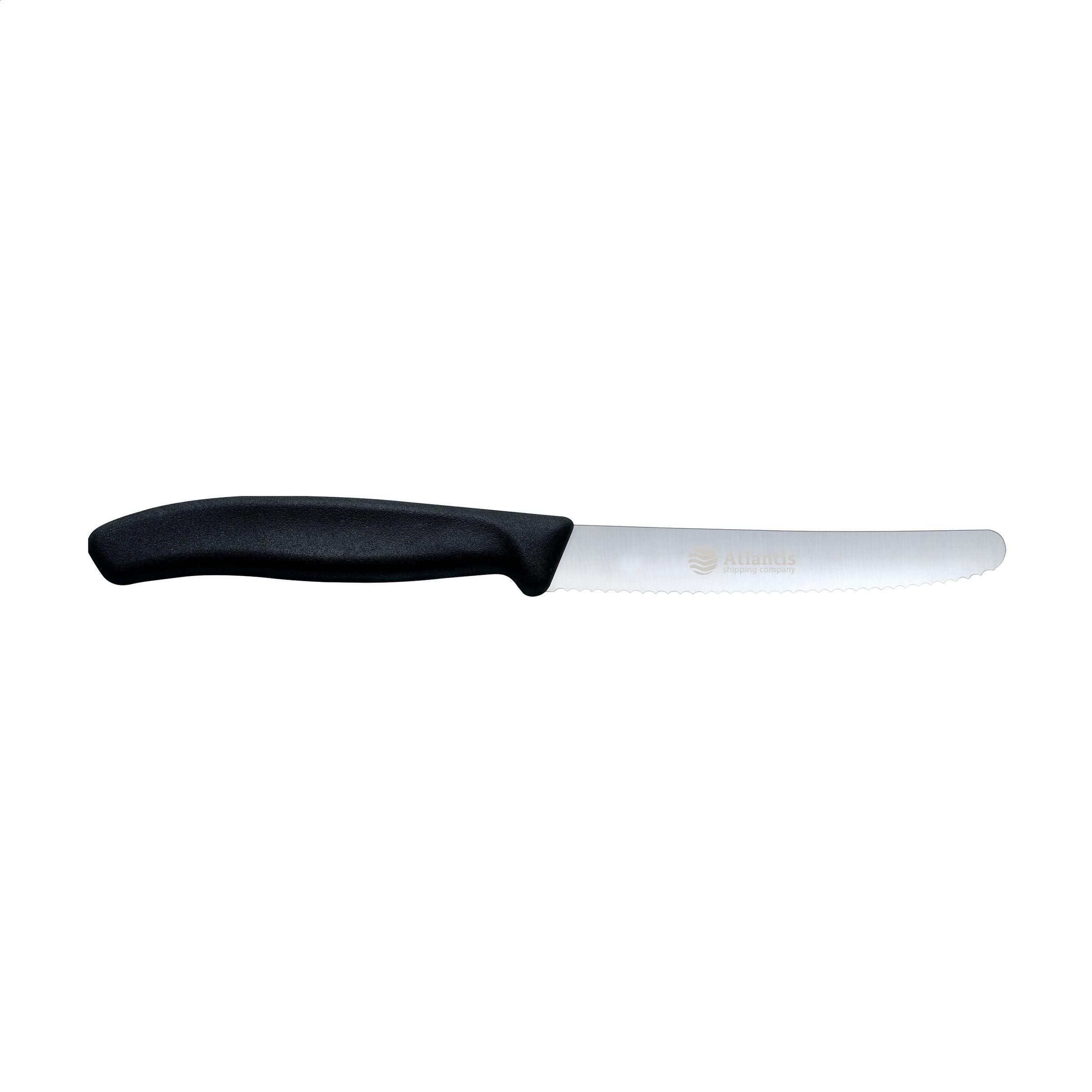 Victorinox Swiss Classic table knife (260679)