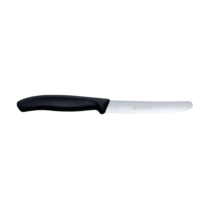 Victorinox Swiss Classic table knife (260679)