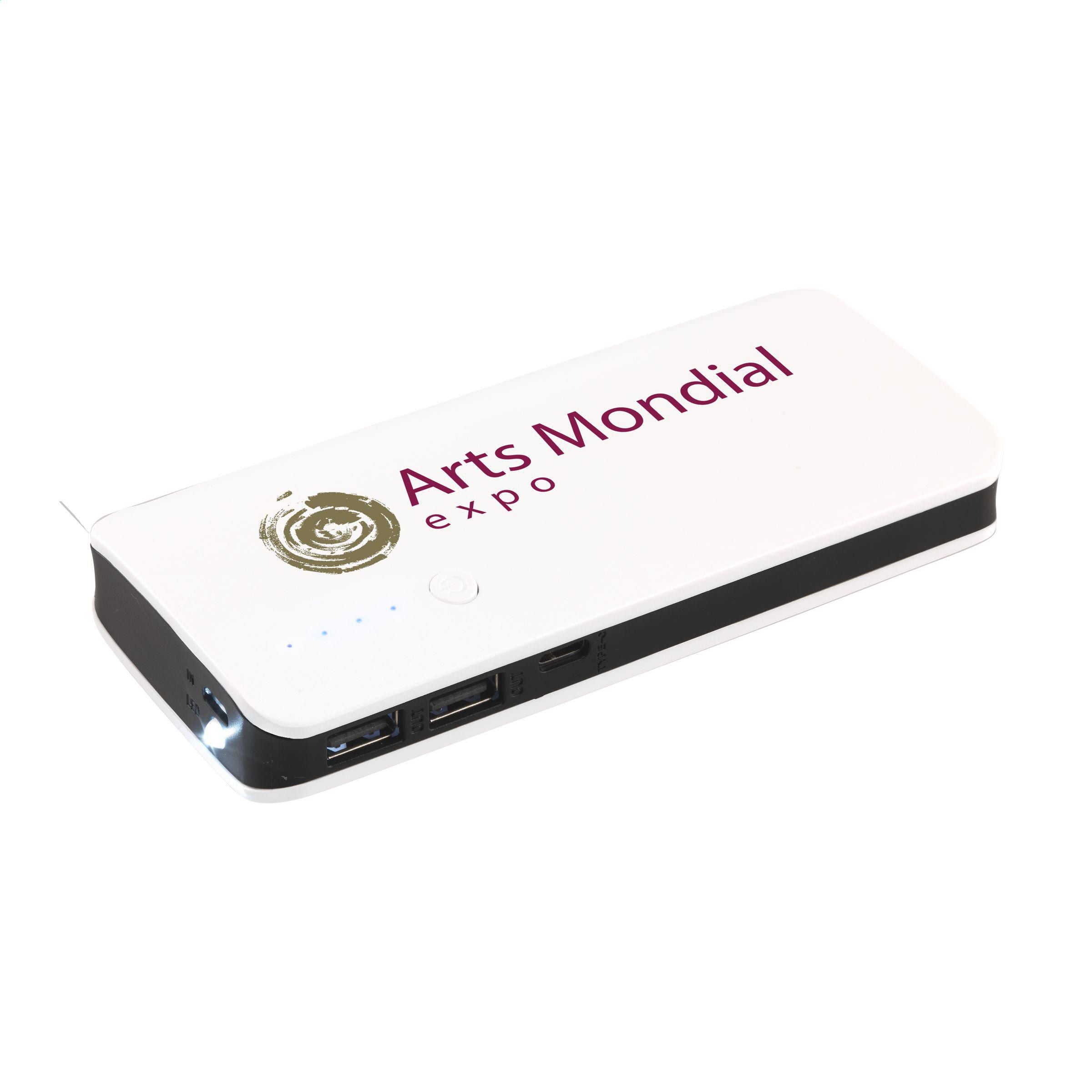 Powerbank 10000 C external charger (260750)