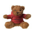 HoodedBear bear cuddle toy (263518)