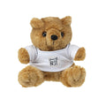 Browny Bear cuddle toy (264846)