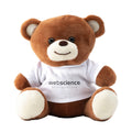Billy Bear Normal Size cuddle toy (265371)