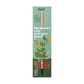 Single Header Card for Sproutworld pencil (269387)