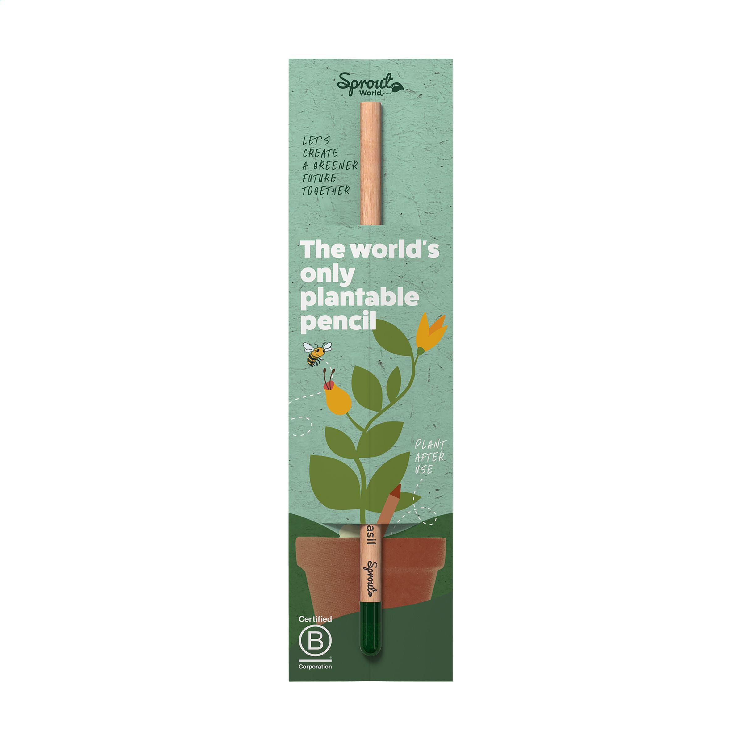 Single Header Card for Sproutworld pencil (269387)